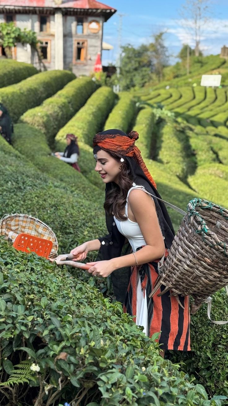 Rize Kültür ve Yayla Rotası manzara